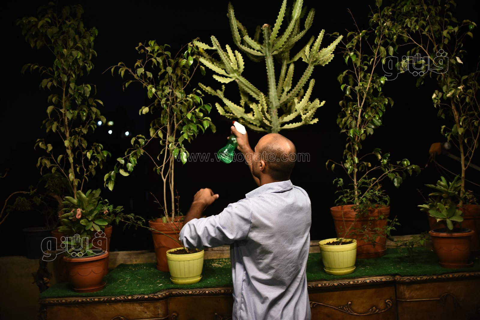 عاشق السطوح طه عبيد (11)