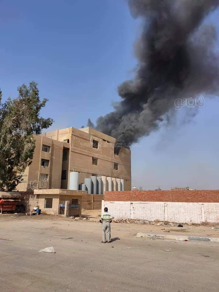 243388257_390778149166074_2368186778188827171_n