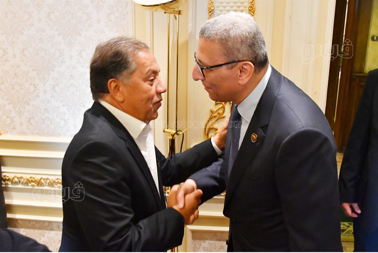  أنتخابات لجنة الشئون الأفريقية برئاسة النائب شريف الجبلي (2)