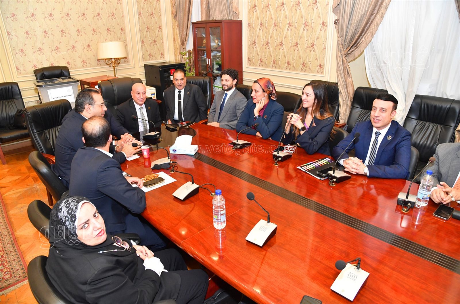  انتخابات لجنة الشئون الأفريقية برئاسة النائب شريف الجبلي (3)