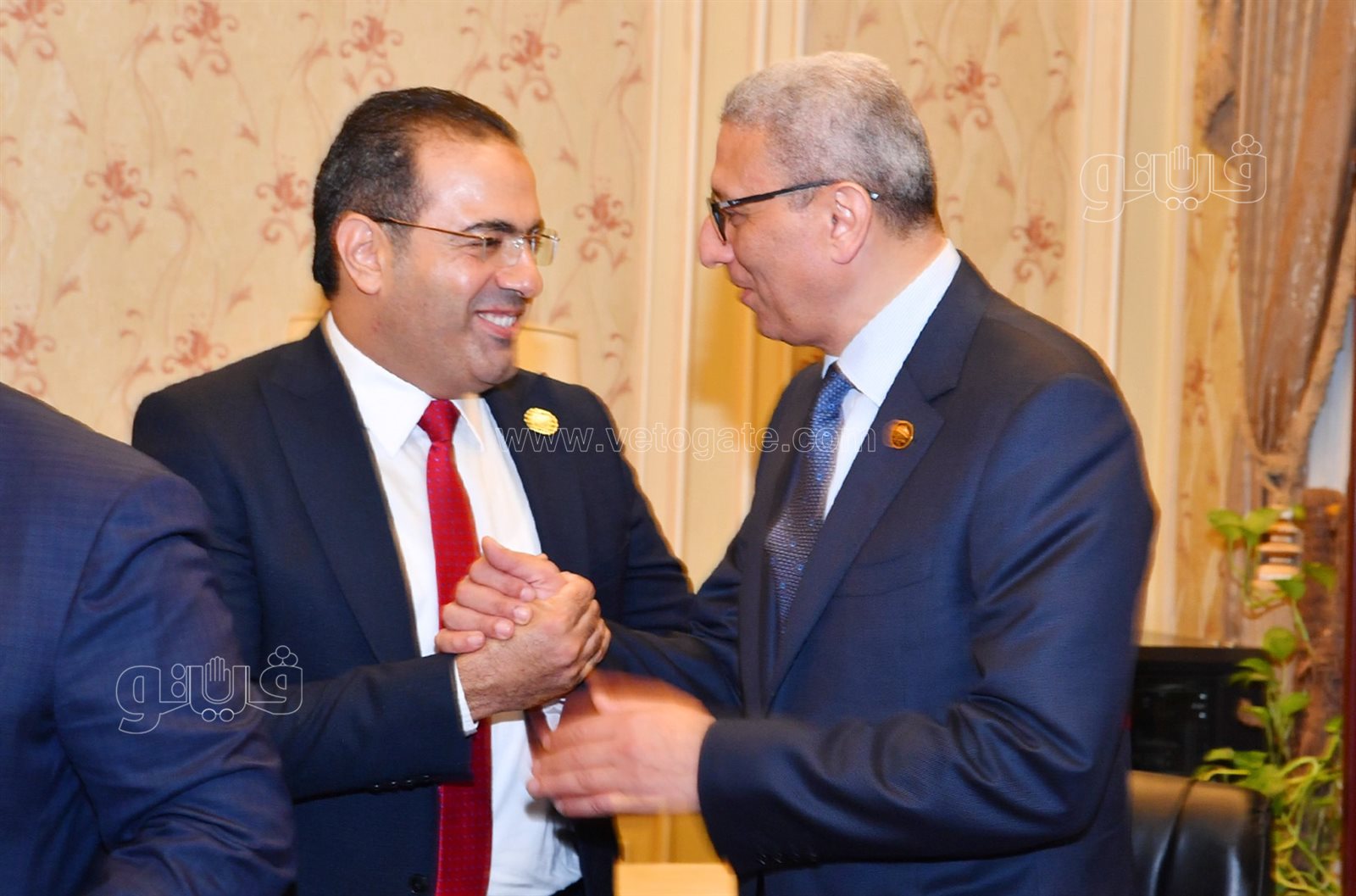  انتخابات لجنة الشئون الأفريقية برئاسة النائب شريف الجبلي (8)