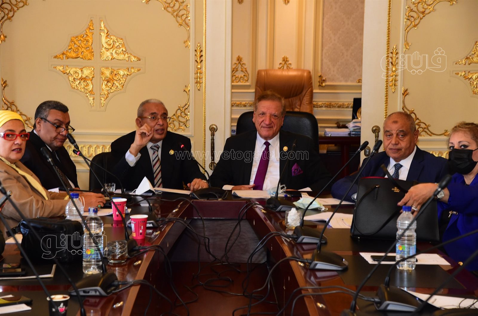 انتخابات لجنة الخطة والموازنة بمجلس النواب (3)