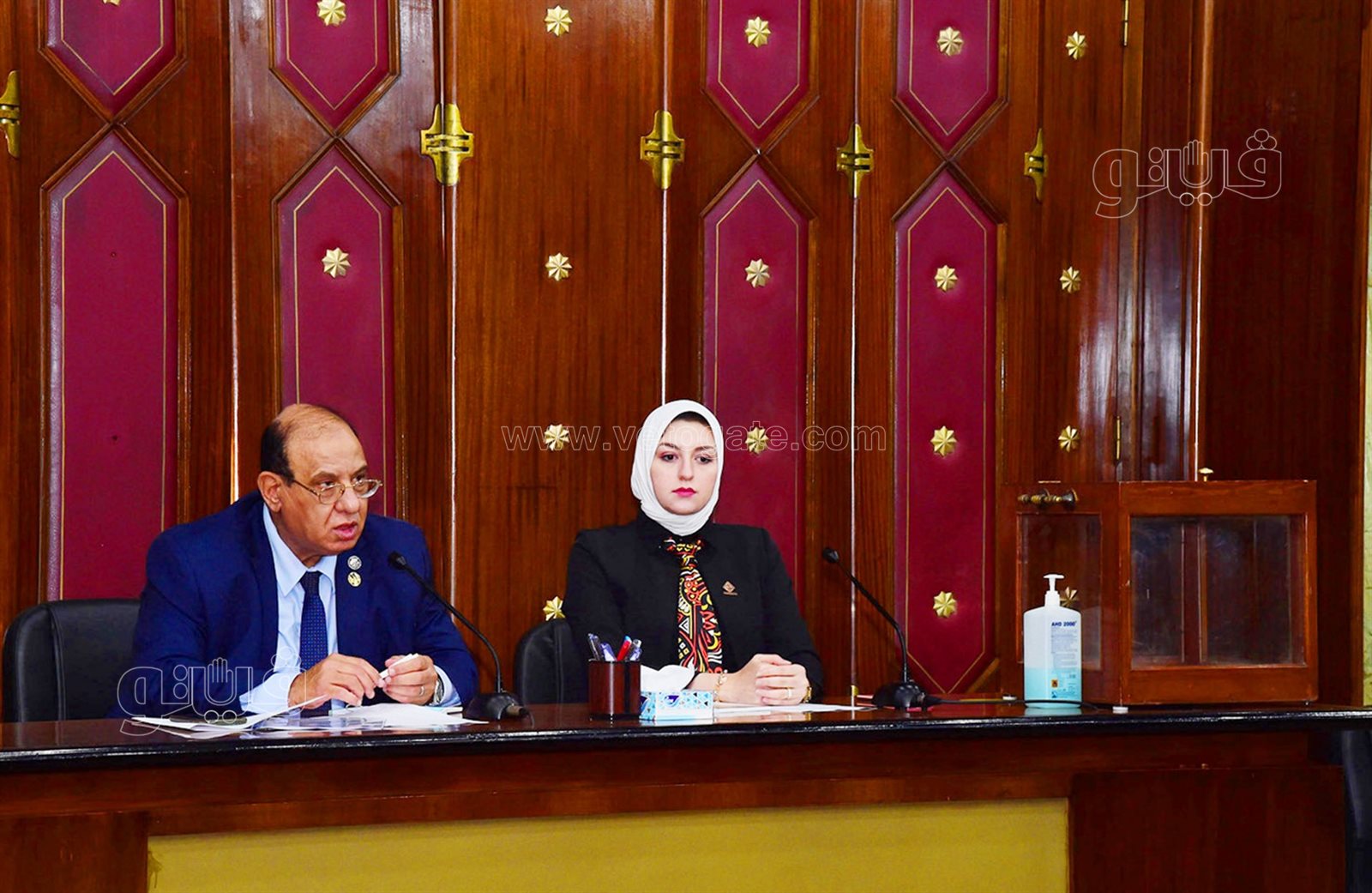 انتخابات لجنة التضامن الاجتماعى والأسرة بمجلس النواب (1)