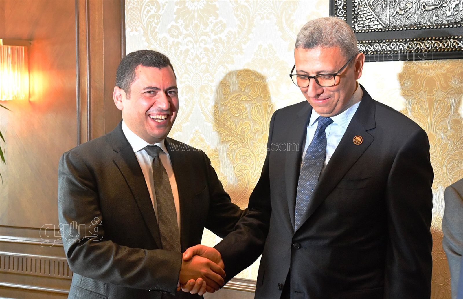 انتخابات لجنة الصناعة بمجلس النواب (6)