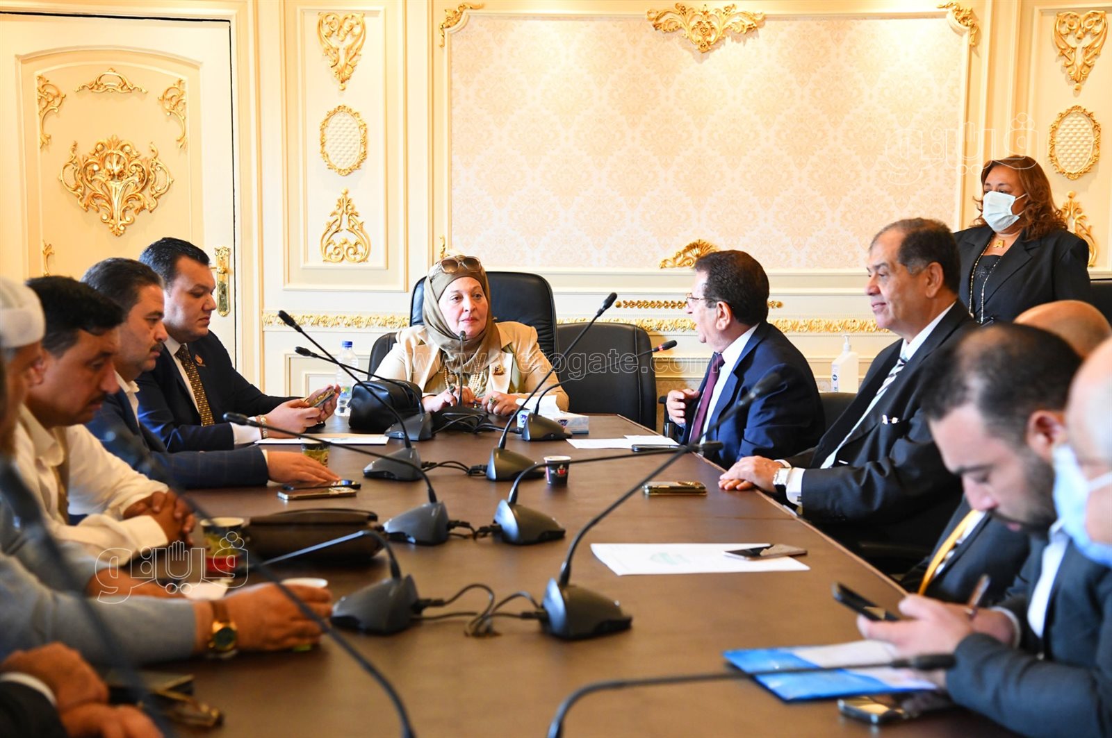  انتخابات لجنة الشئون العربية بمجلس النواب (1)