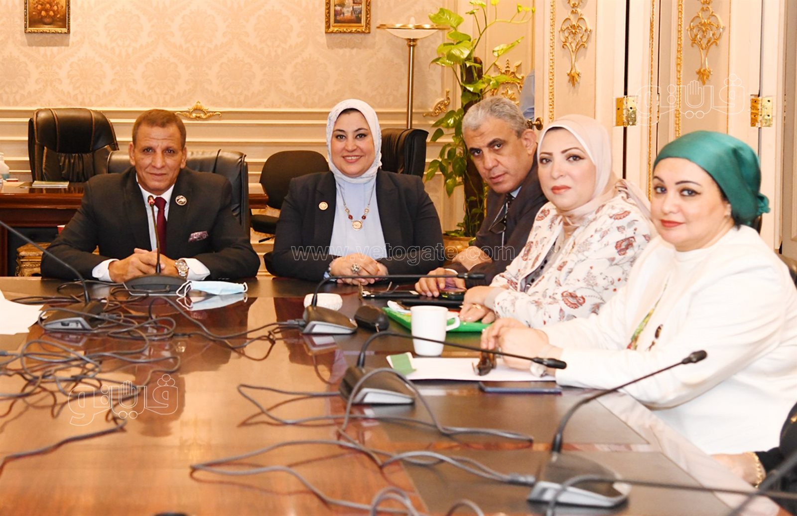  انتخابات لجنة القوى العاملة بمجلس النواب (2)