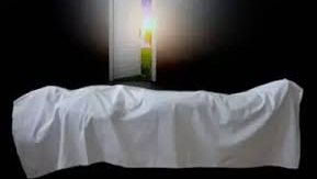 حكم غسل الميت، فيتو