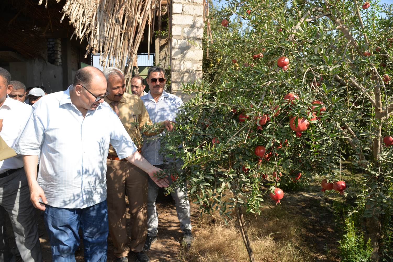 received_964831431407758