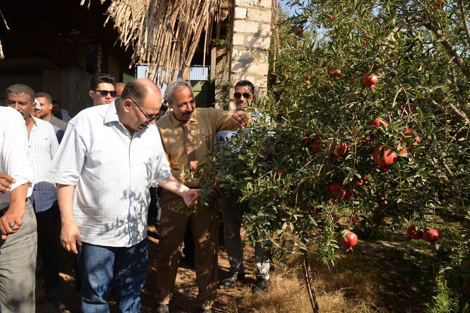 received_117969238034932