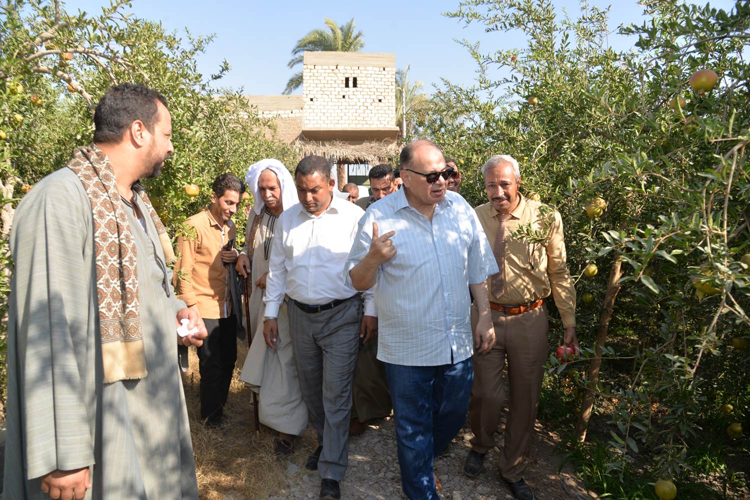 received_269511782374066