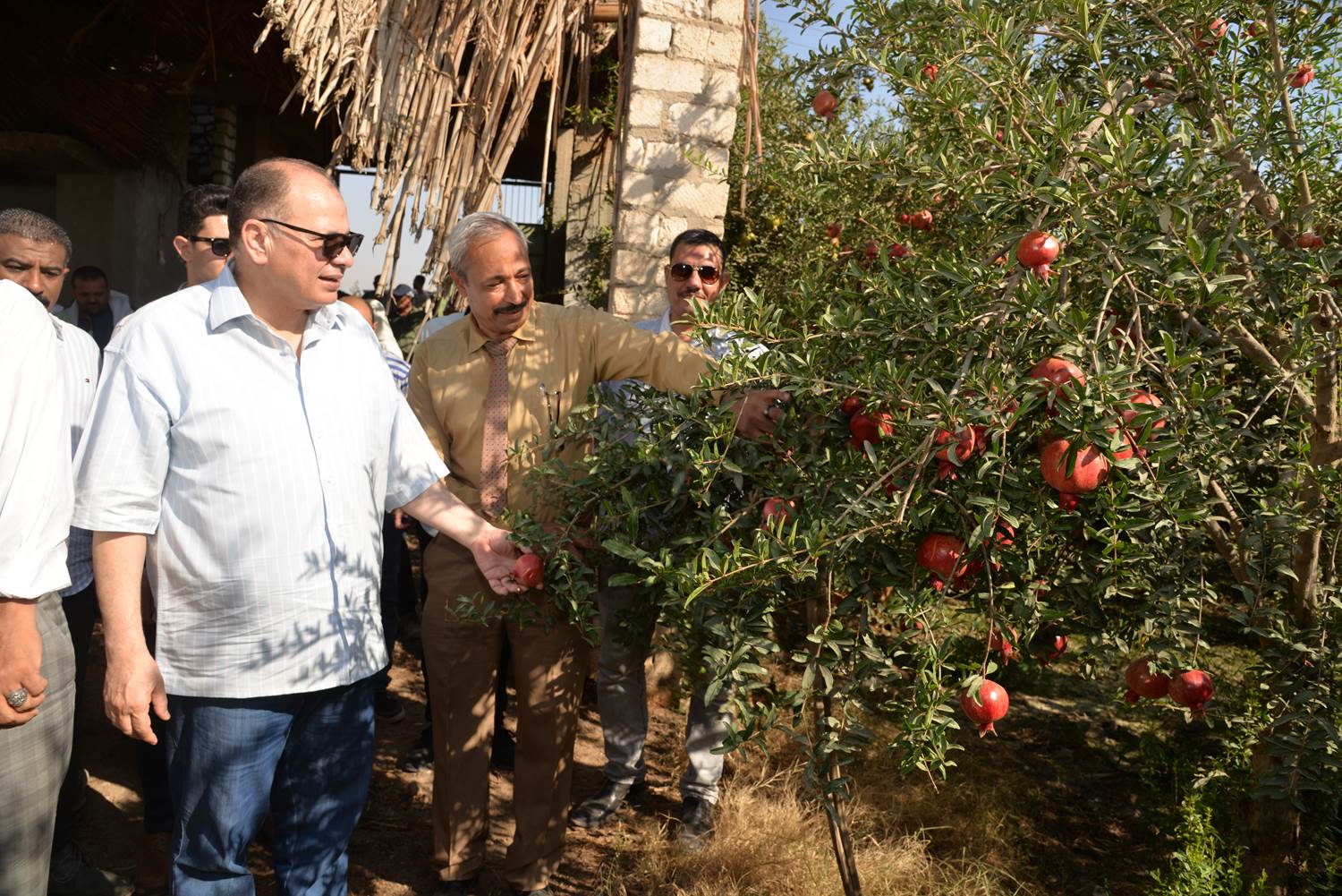 received_327742102912343