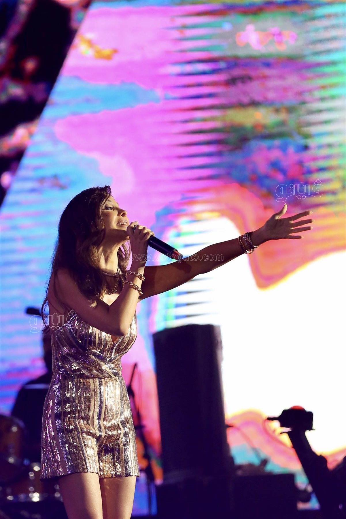 حفلة نانسي عجرم (6)