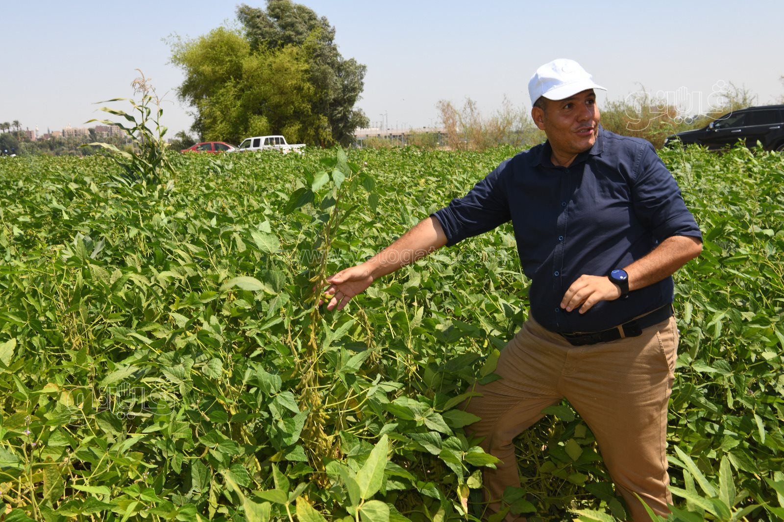 1f01a211-9db5-4521-962d-7d6b060b25cd