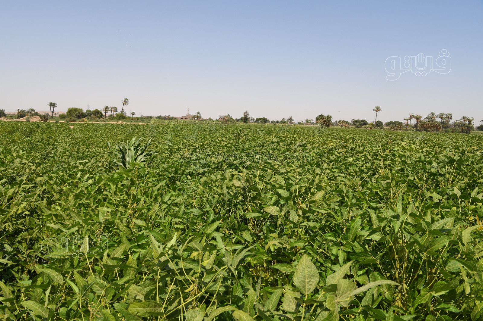 1fc63d4c-cfcc-4501-90b0-8fe2894b57b4