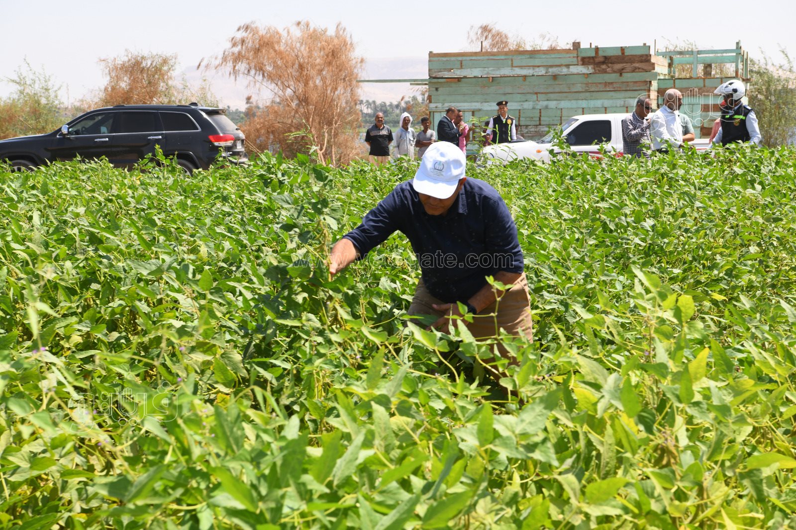 6a104e63-e073-4958-a93d-76e575c2abca