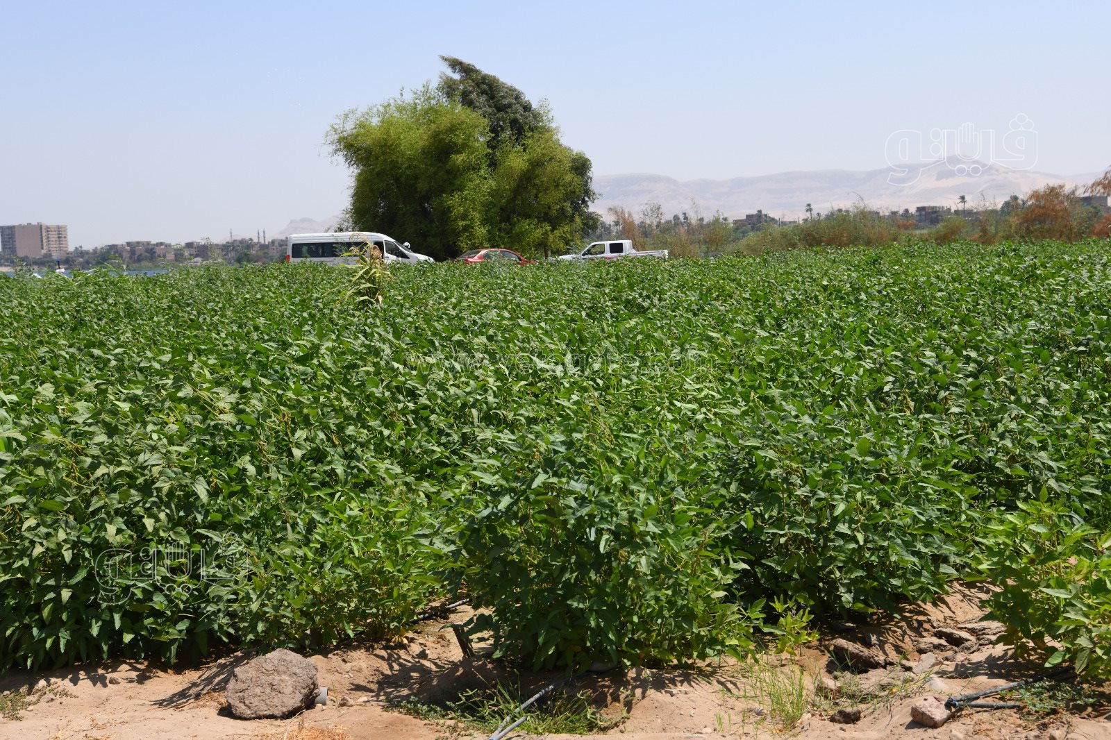 8a474fa1-ff04-4189-a4c9-6560aba83eae