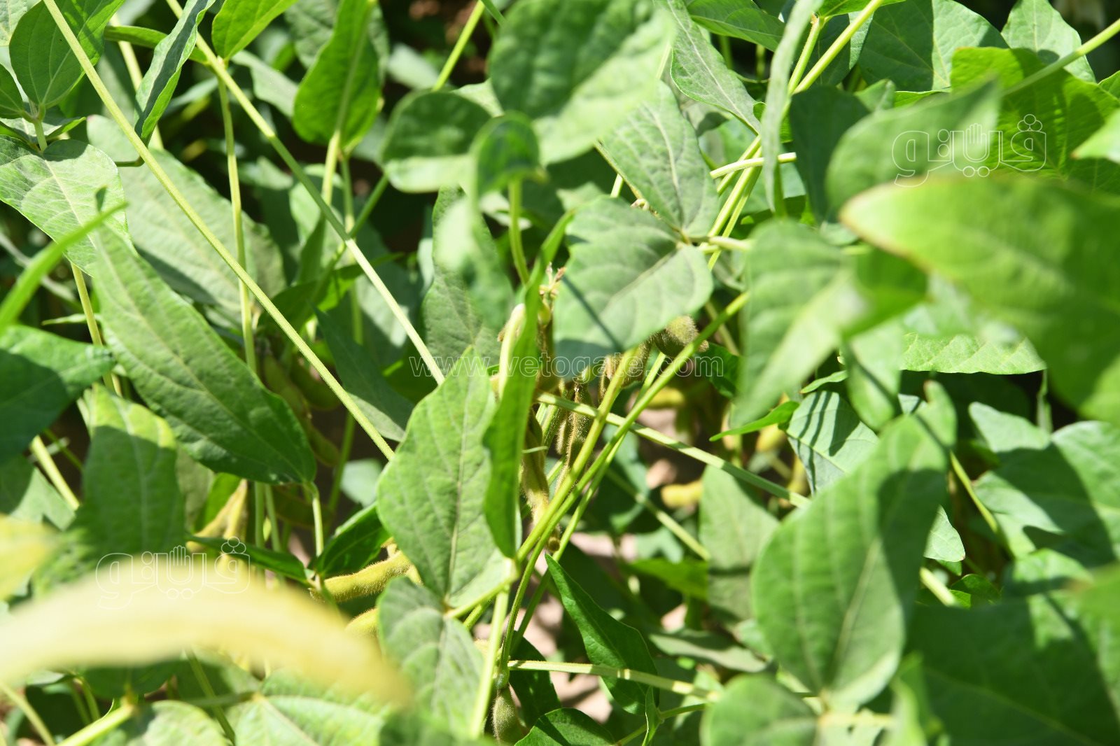 25e68c14-5f81-42b3-a65b-2473587d6117