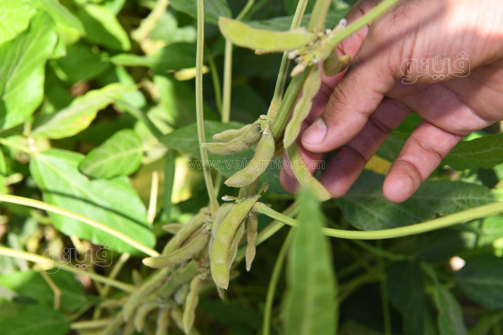 80de39db-51f6-4ed2-bbe7-61ebfc7eff63