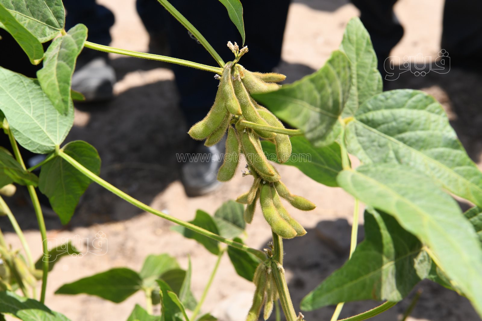 66025ab5-df27-4c0b-a0b8-2a88af3bbf8e