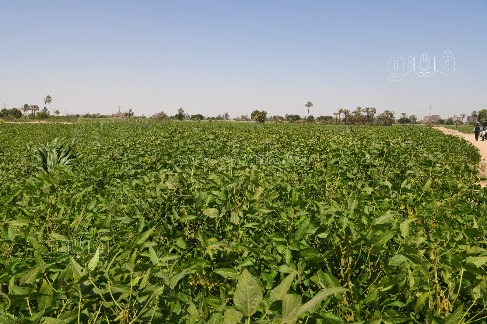 ab17aab9-e737-4be8-81d1-e738b4db21f4