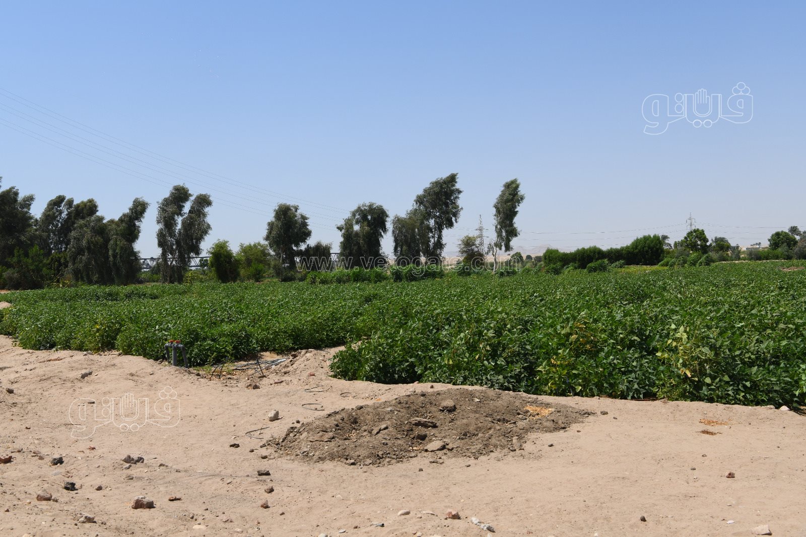 b079c74c-efe6-433e-8032-36bb6b6ac983