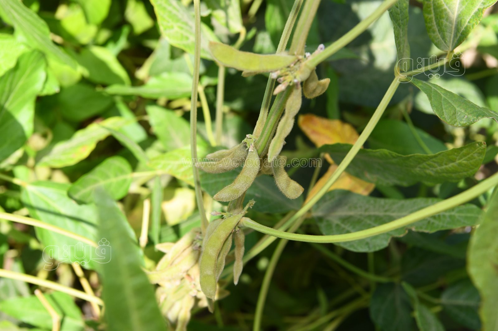 d217bf49-3bbb-492d-83ca-fadec9e416f4