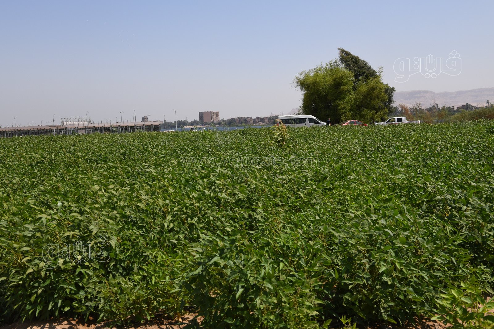 fb92e656-e47c-4e66-9838-737da1827532