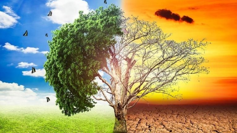 التغيرات المناخية، فيتو