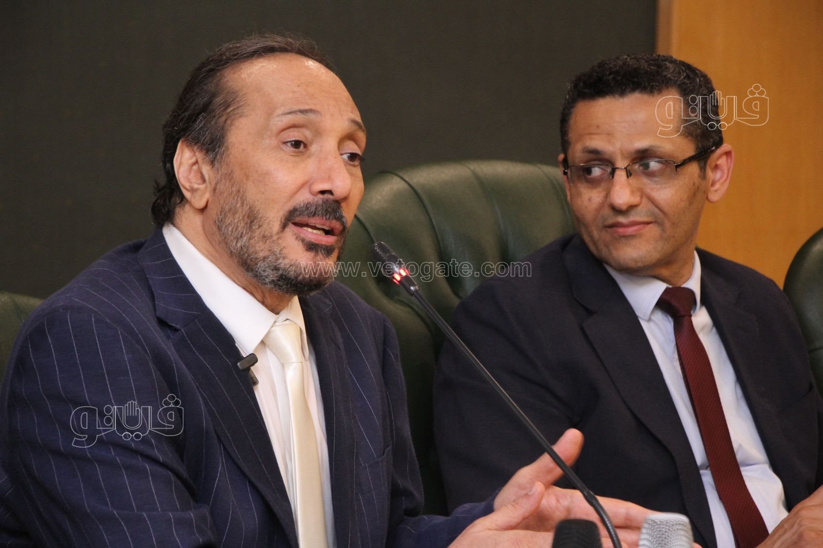 علي الحجار (11)