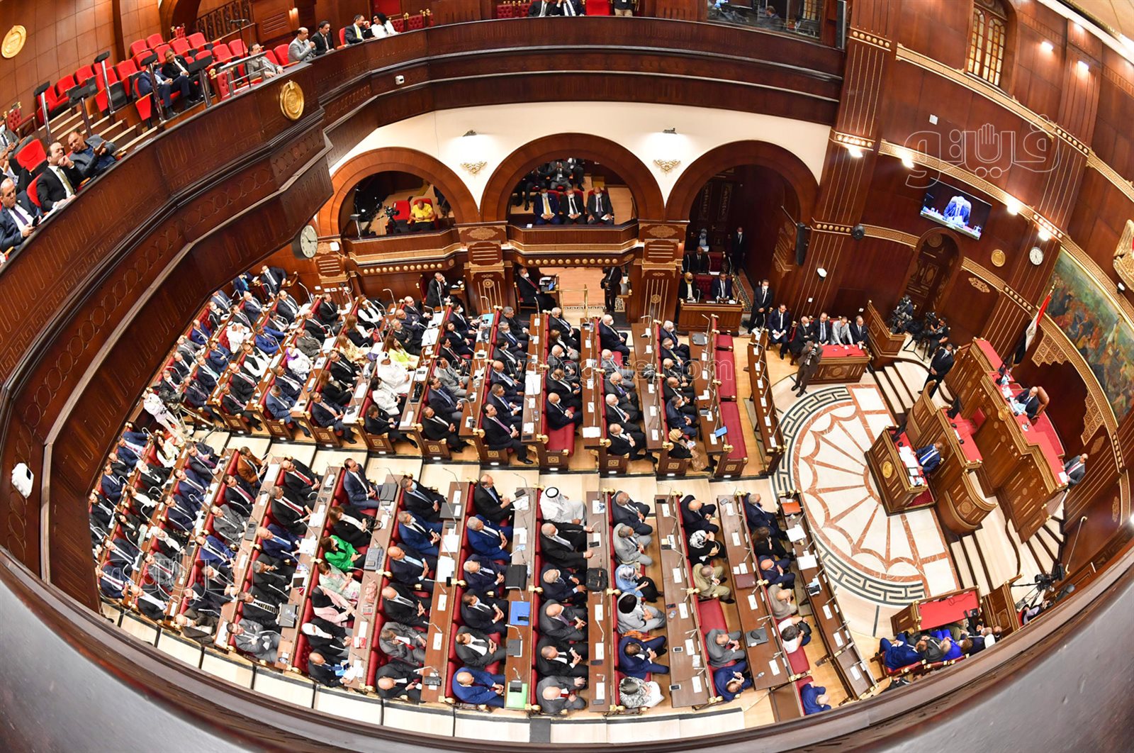 مجلس الشيوخ (5)