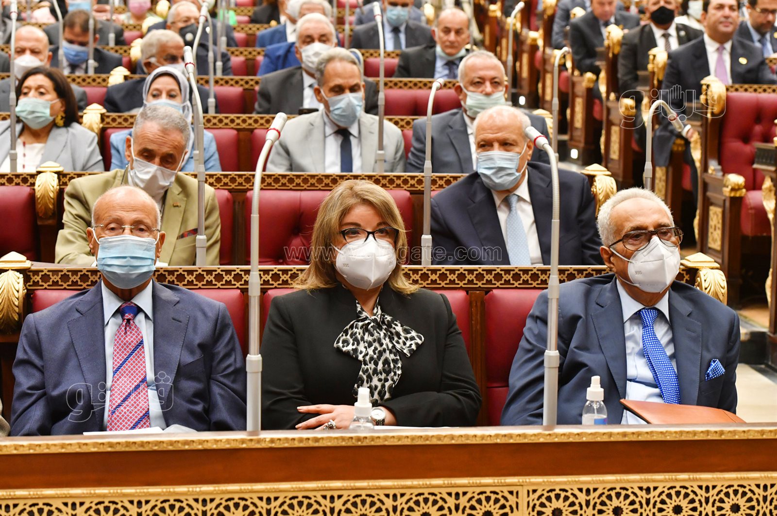 مجلس الشيوخ (18)