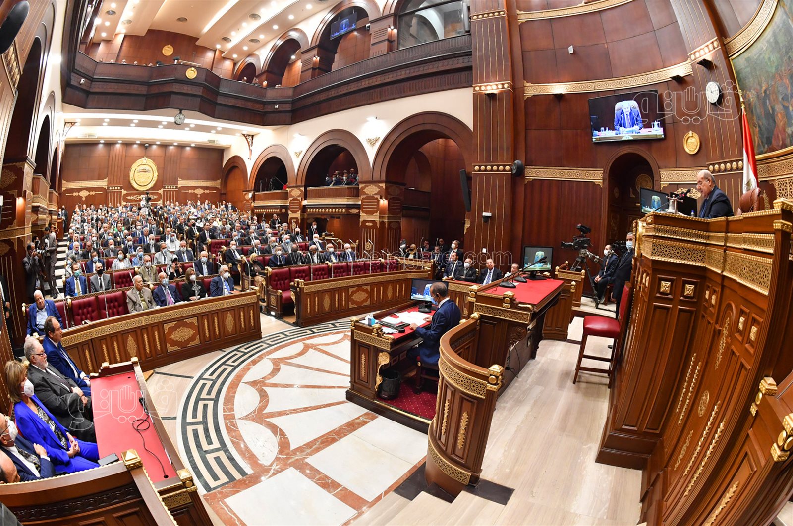 مجلس الشيوخ (3)