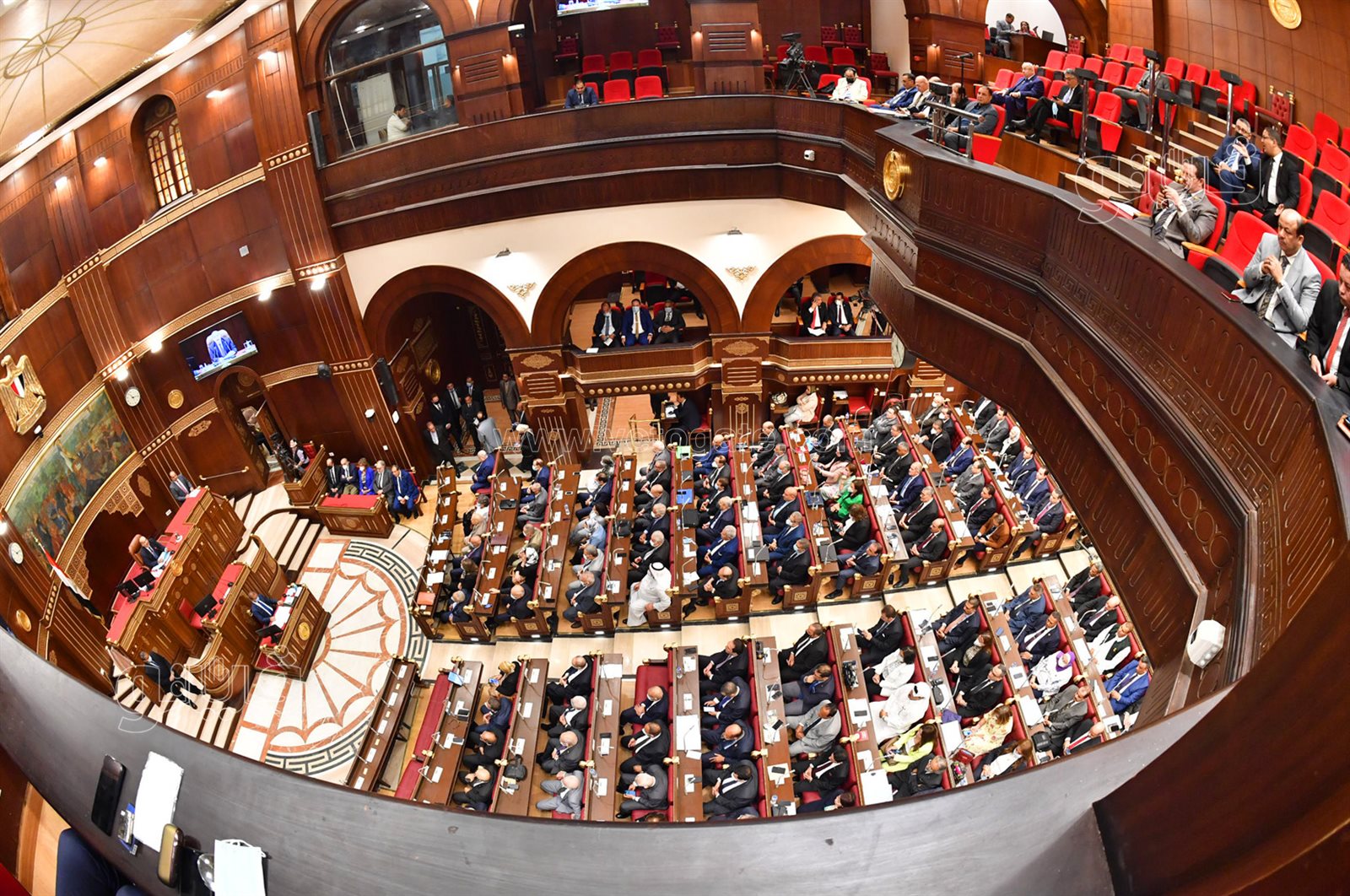 مجلس الشيوخ (4)