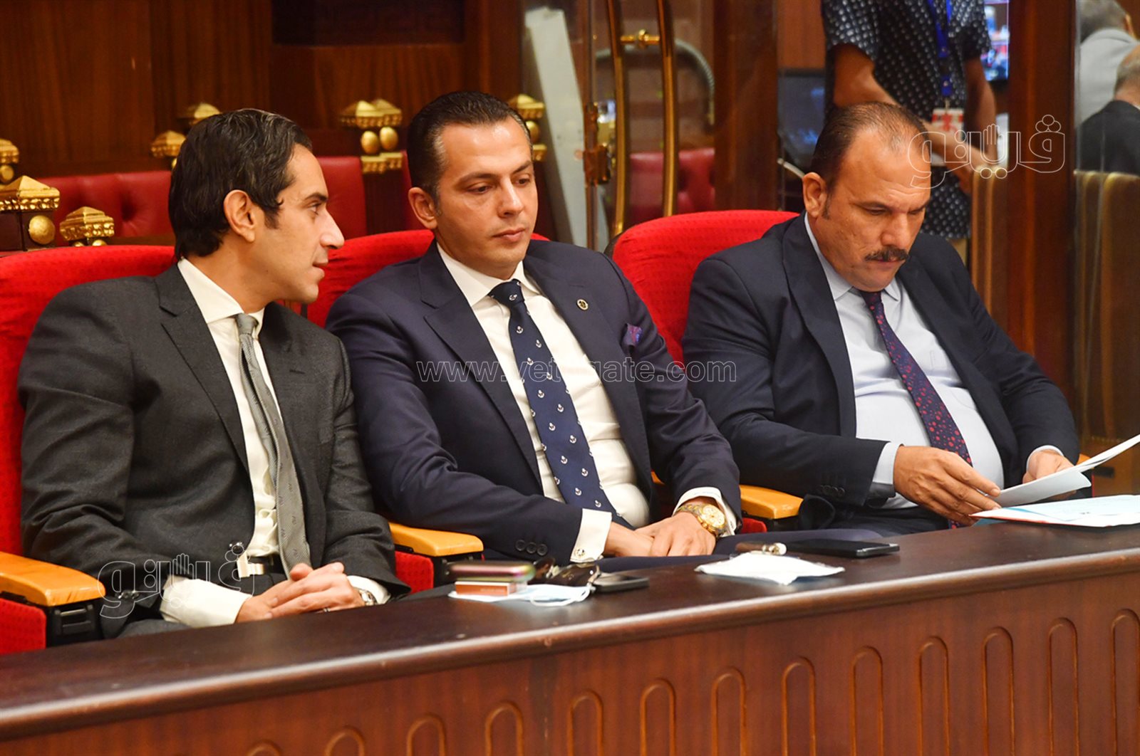 مجلس الشيوخ (6)