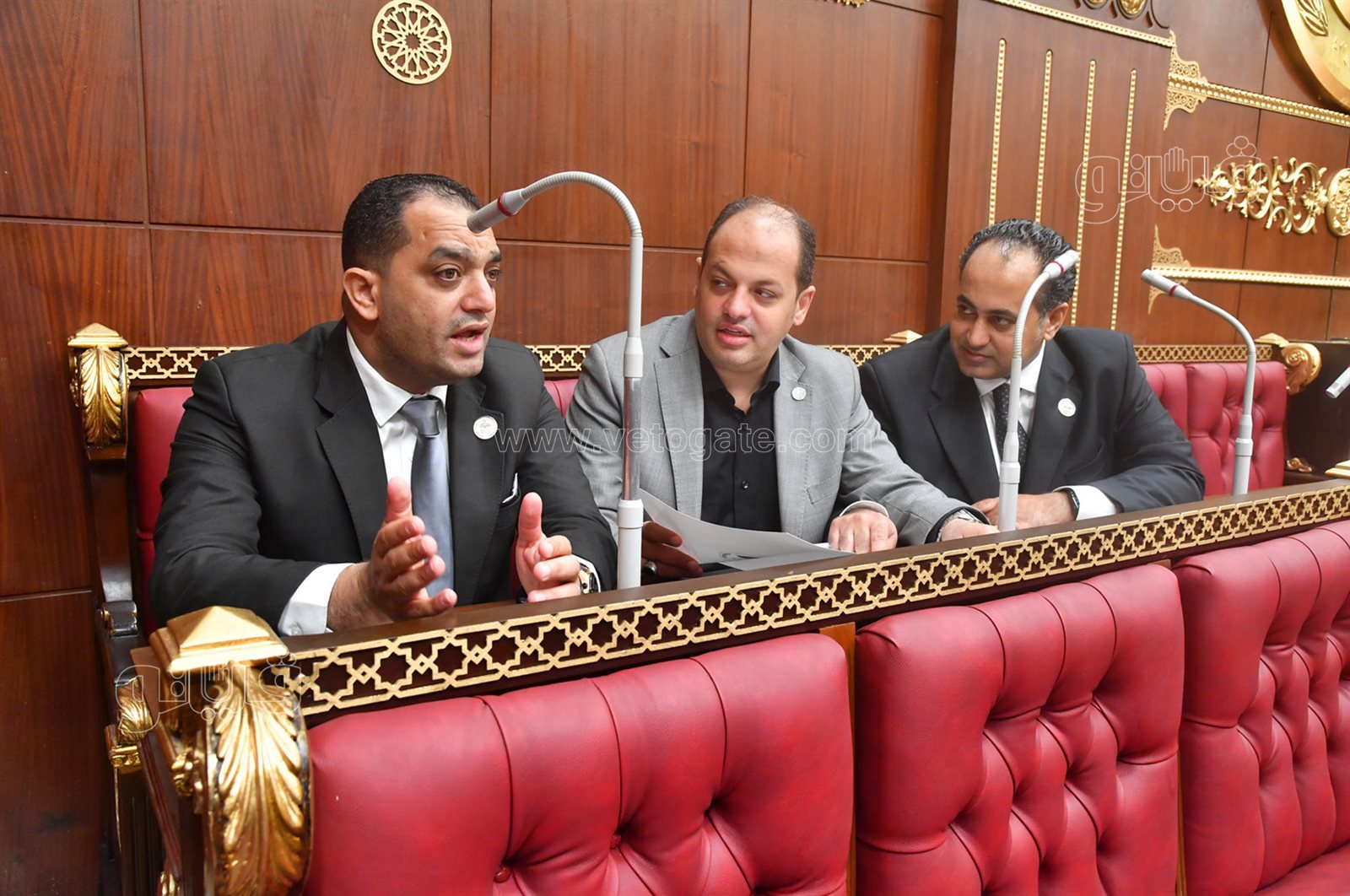 مجلس الشيوخ (9)