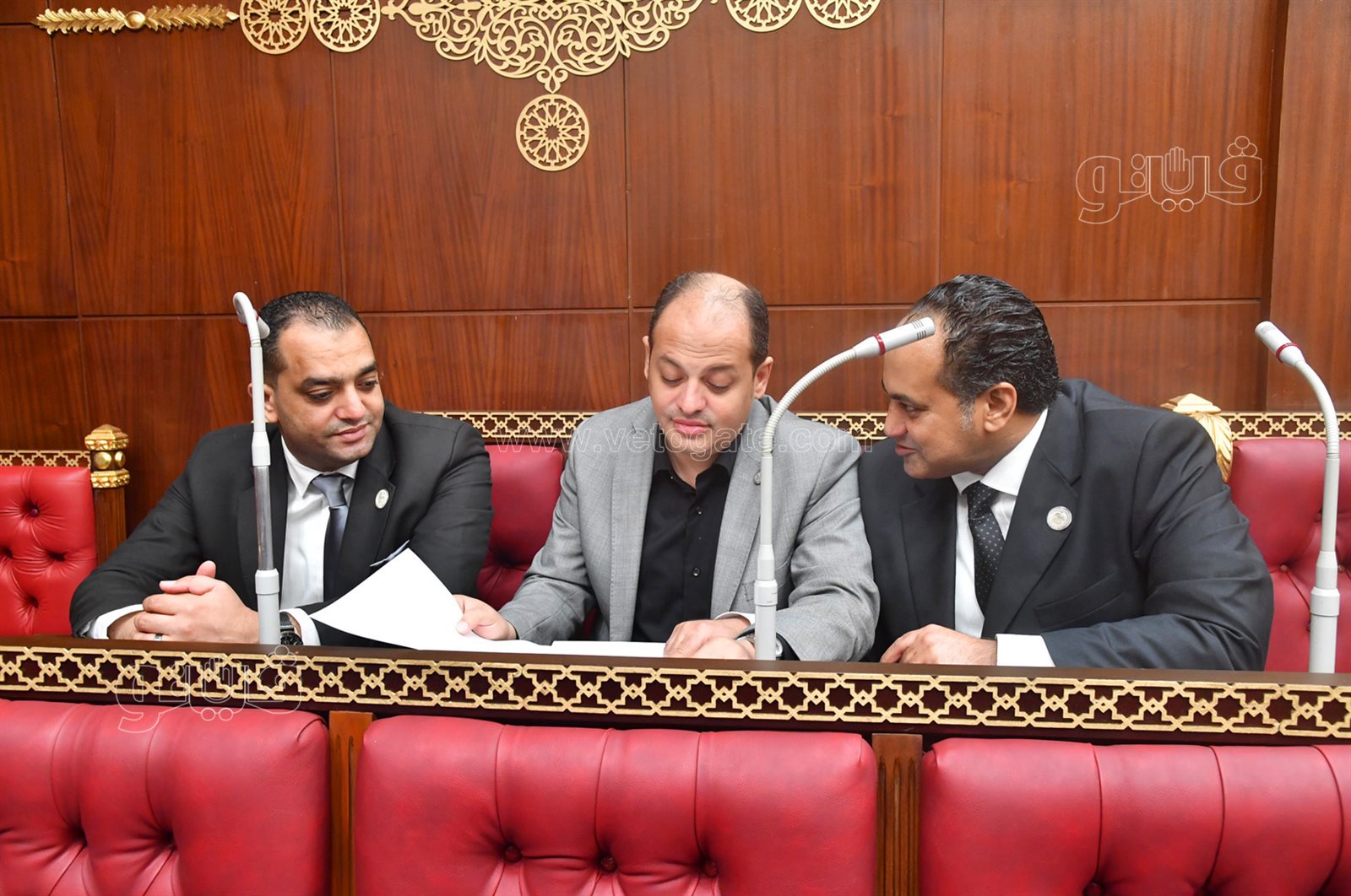 مجلس الشيوخ (10)