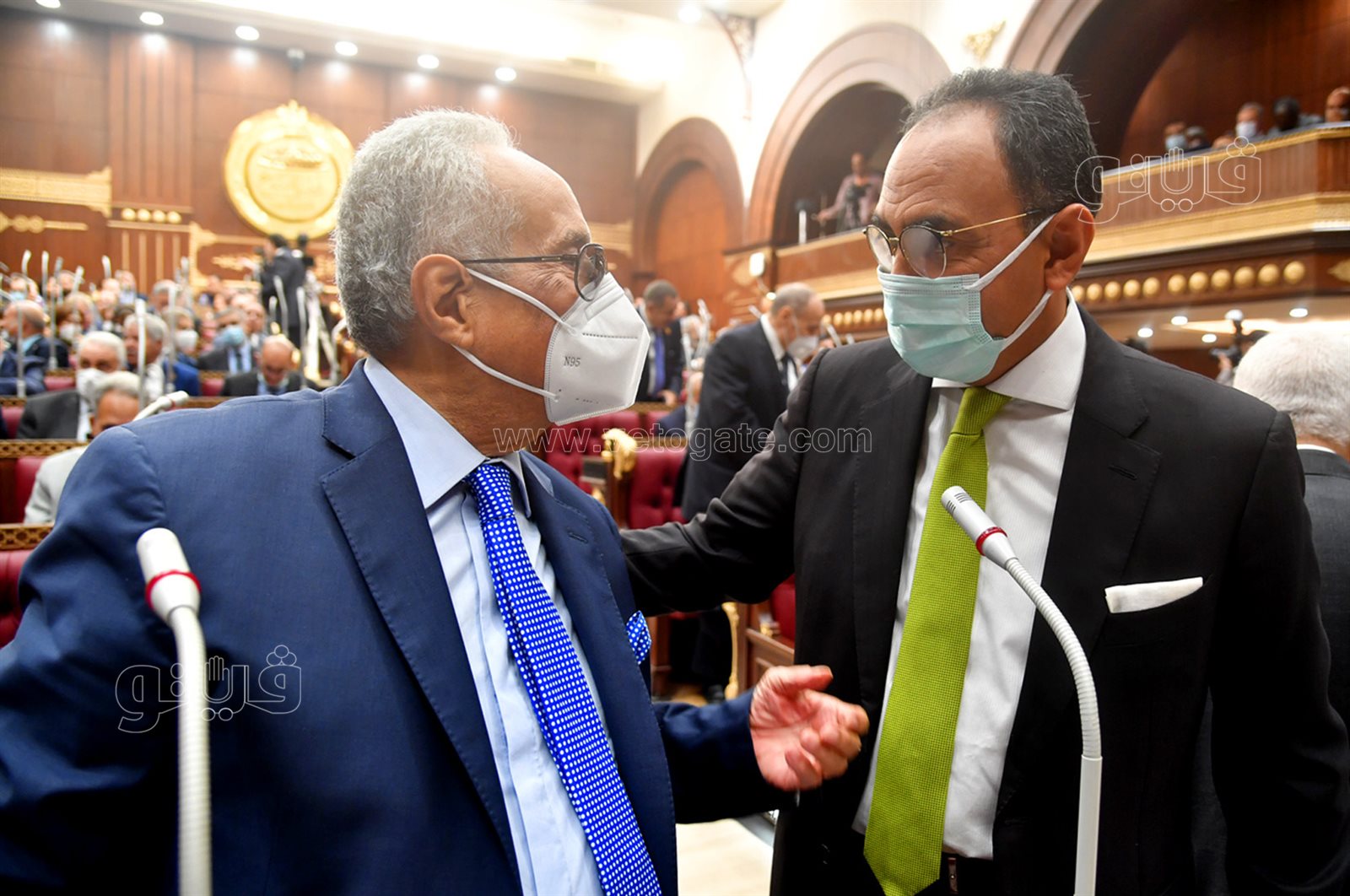 مجلس الشيوخ (12)