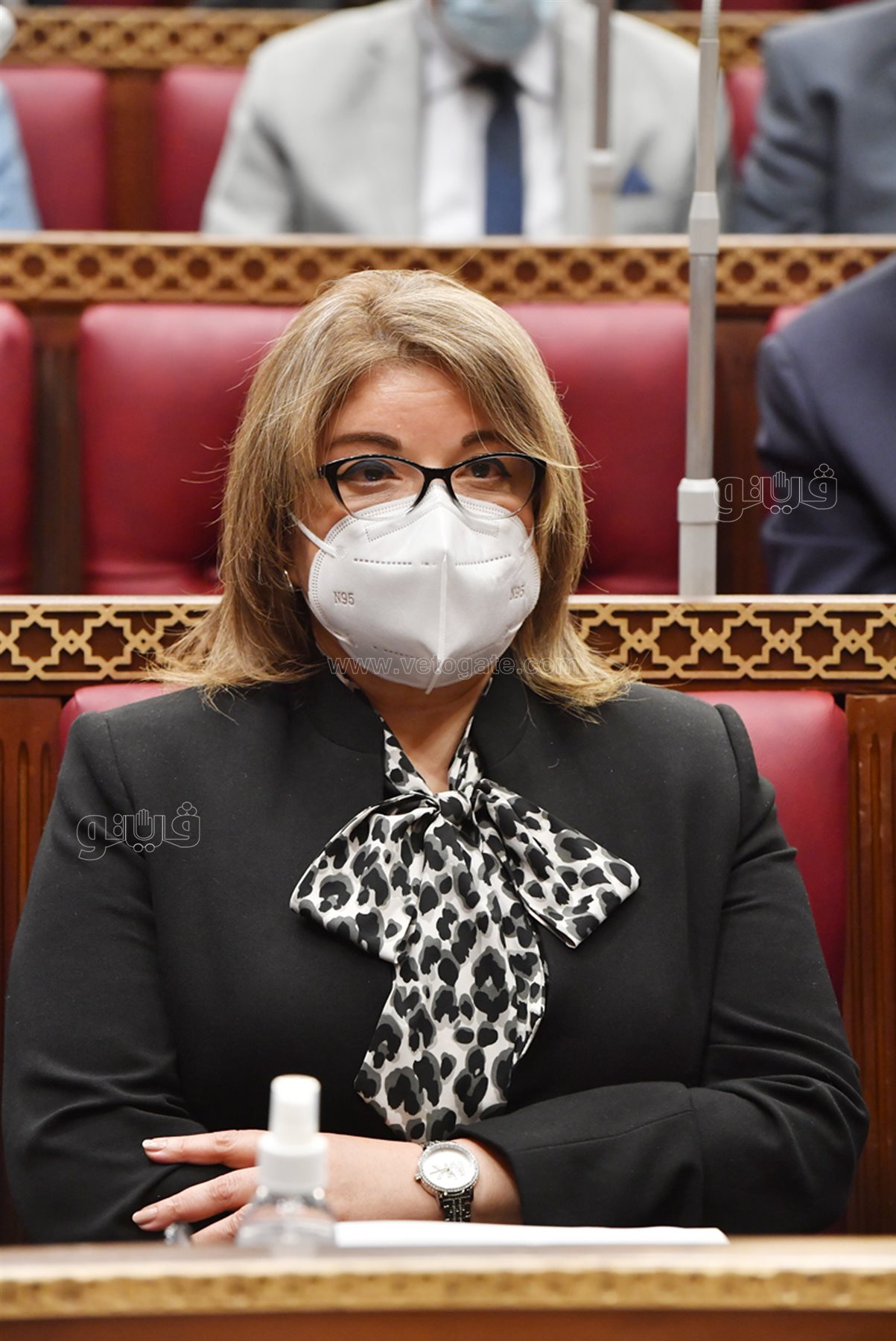 مجلس الشيوخ (19)