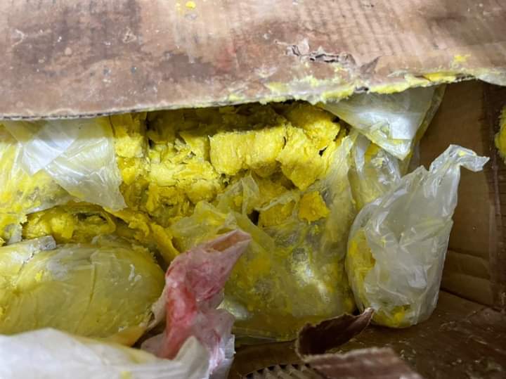 FB_IMG_1633544003301