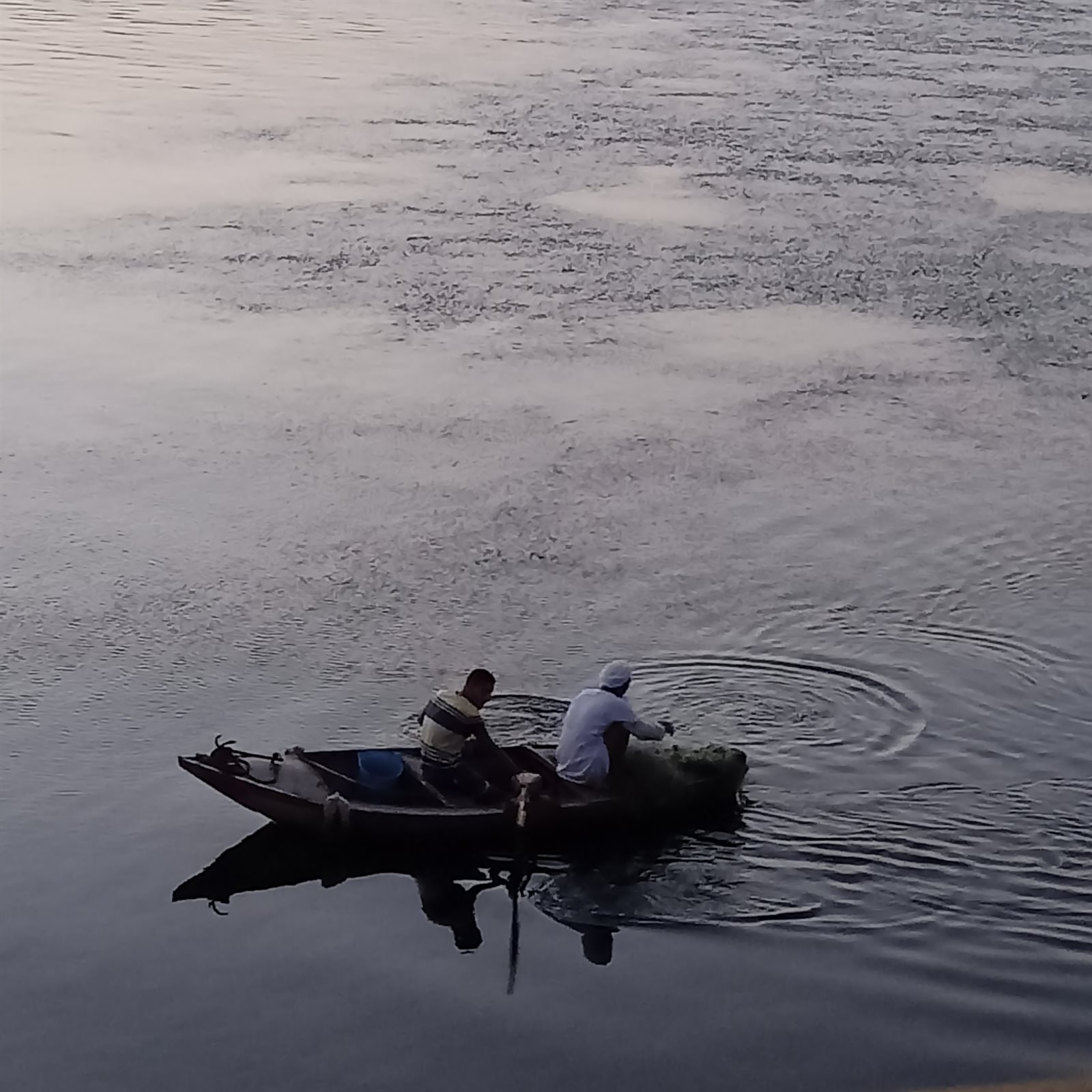 244408280_229851179163557_3433447216054242491_n