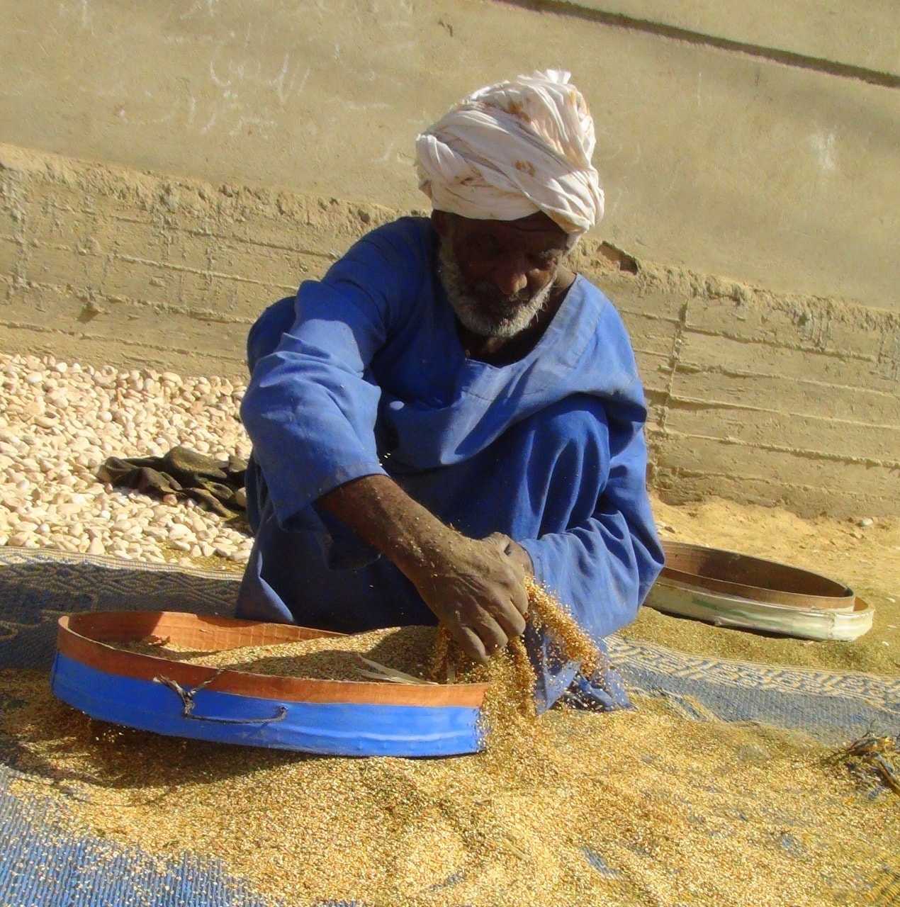 244481073_324372599446061_8968014474574832589_n