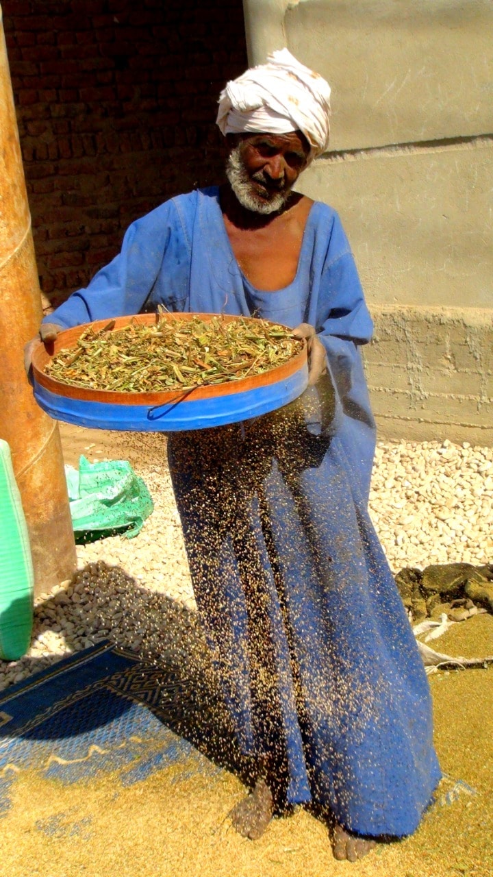 241188339_324372626112725_5641229276317088364_n