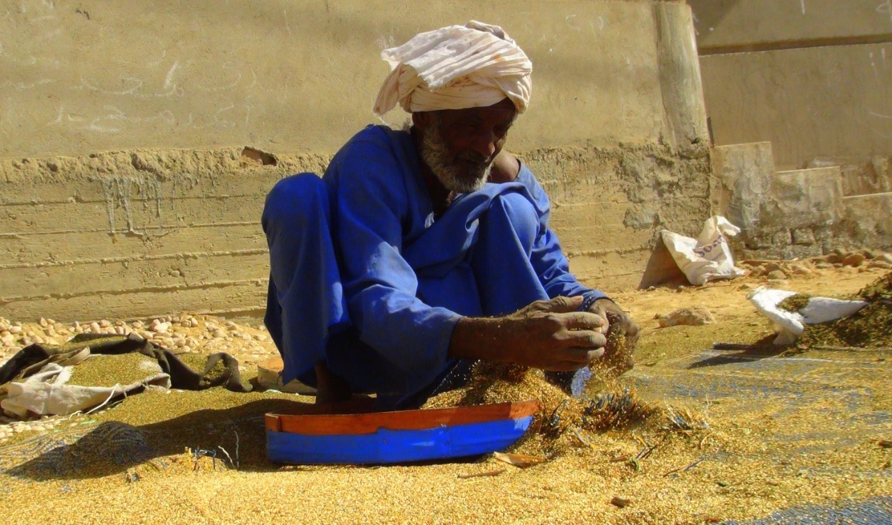 242726651_324372572779397_1586372347856126648_n