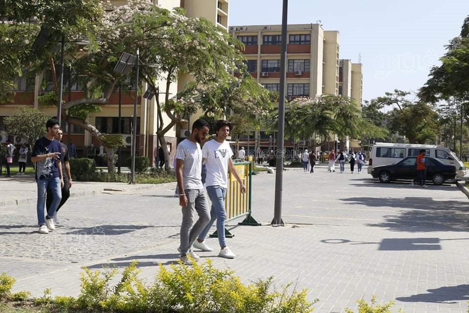 received_219227013533918