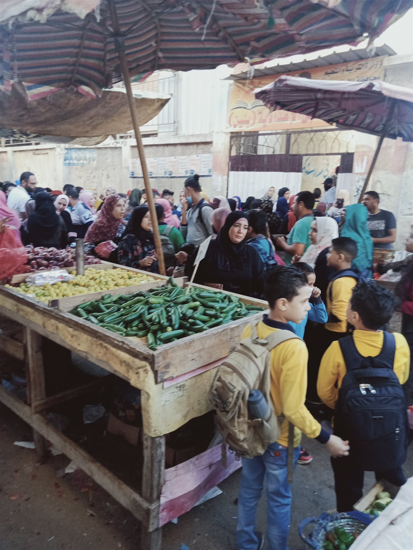 inbound5084890614003721353