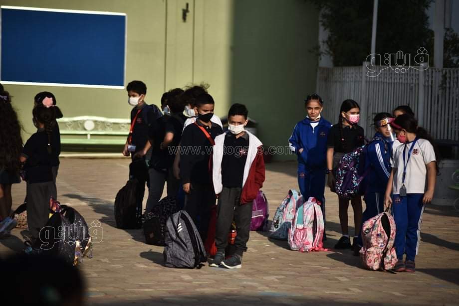 received_556005355509128