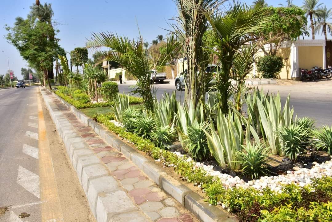  استعدادات الأقصر للحفل العالمي لافتتاح 