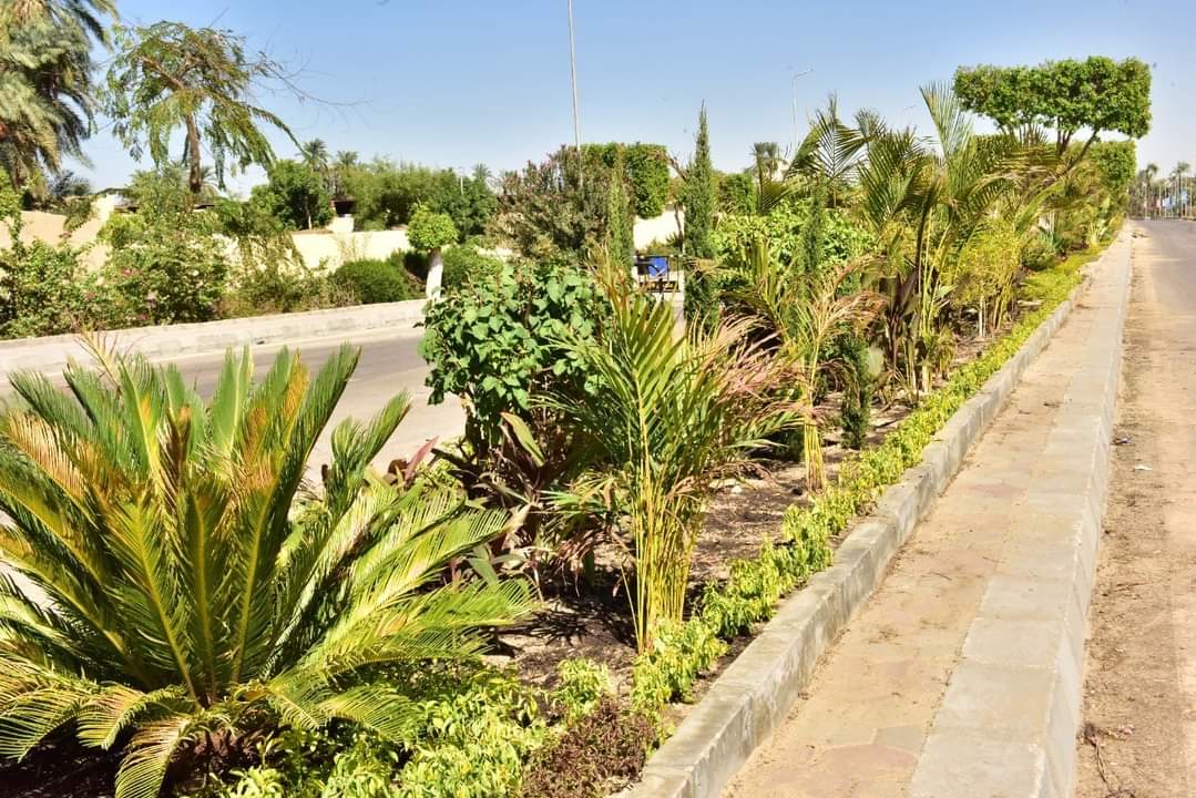  استعدادات الأقصر للحفل العالمي لافتتاح 