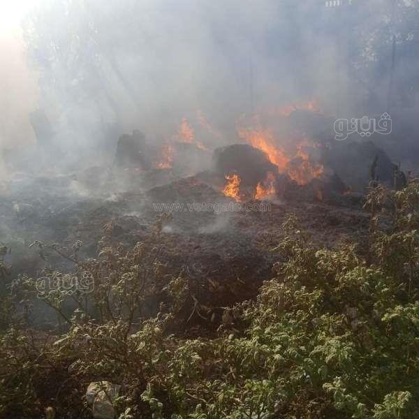 photo_٢٠٢١-١٠-١٢_١٨-٥٧-٠٨ نشوب 7_jpg