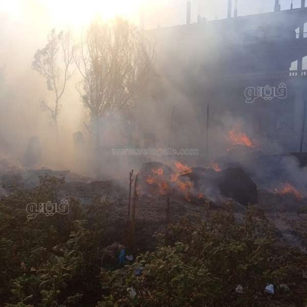 photo_٢٠٢١-١٠-١٢_١٨-٥٧-٠٨ نشوب 3